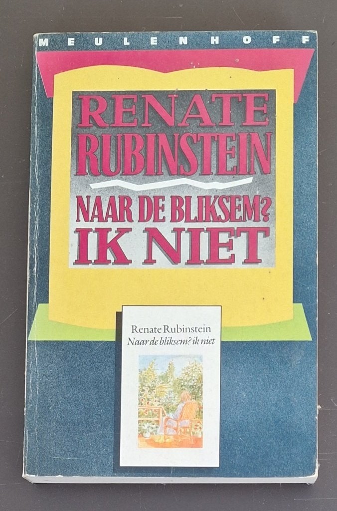 Naar de bliksem? Ik niet - Renate Rubinstein, Ophalen of Verzenden, Gelezen, Renate Rubinstein