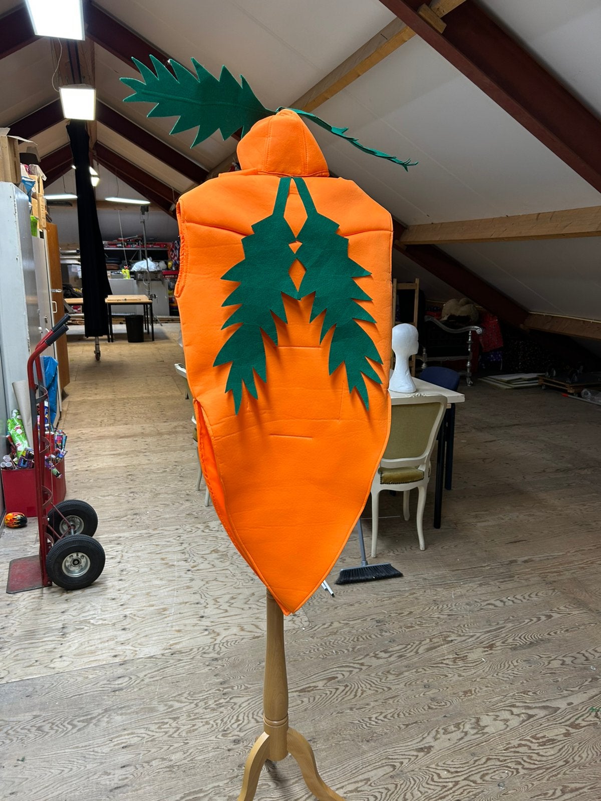 Wortelpak, Ophalen of Verzenden, Zo goed als nieuw, Carnaval