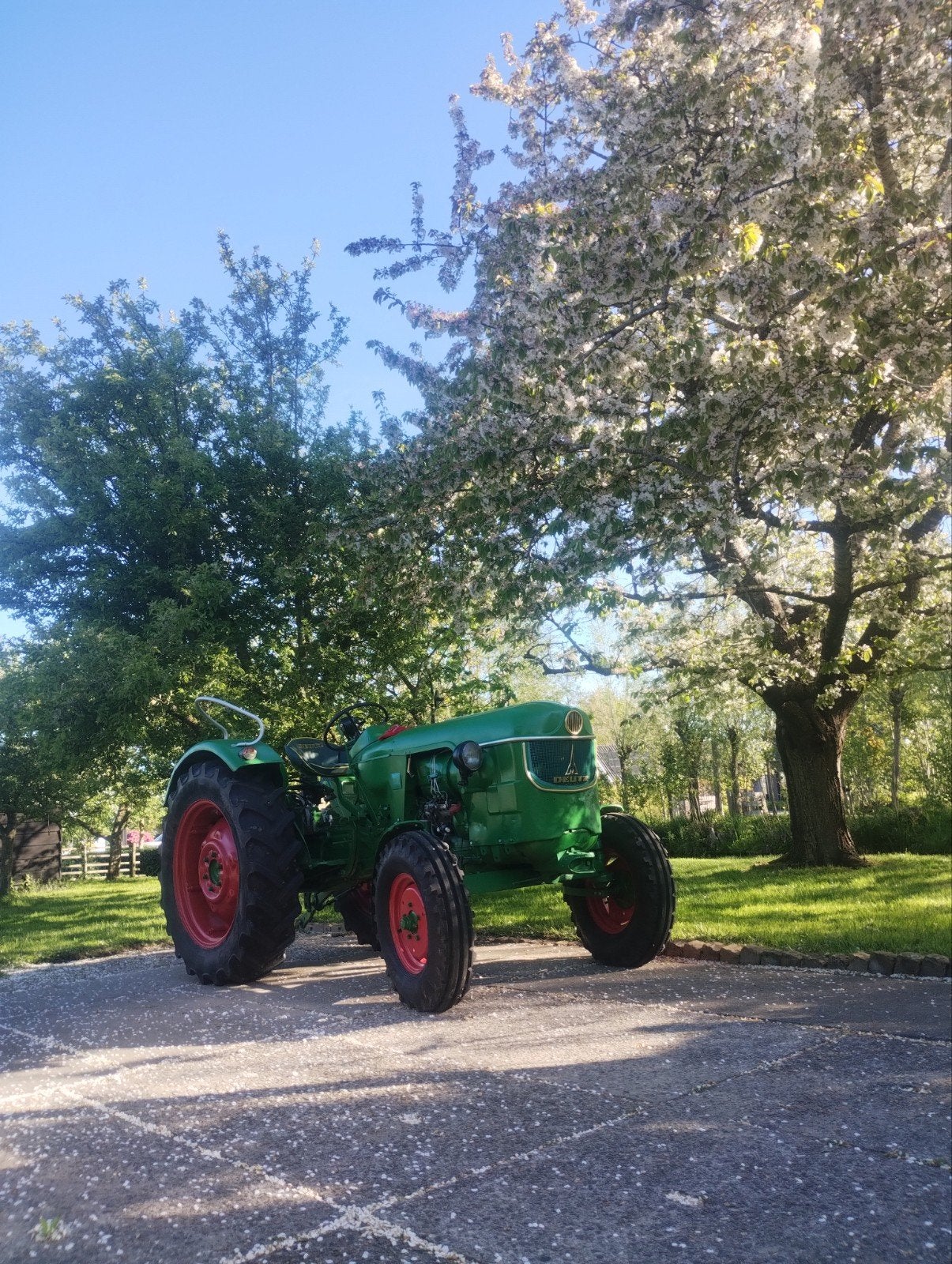Deutz D4005 Oldtimer Tractor - Goed Onderhouden, Ophalen, Oldtimer, Tot 80 Pk, Deutz - Fahr