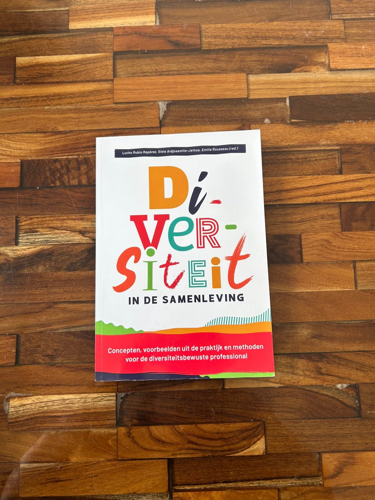 Diversiteit in de samenleving, Ophalen of Verzenden, Zo goed als nieuw, Sociale wetenschap