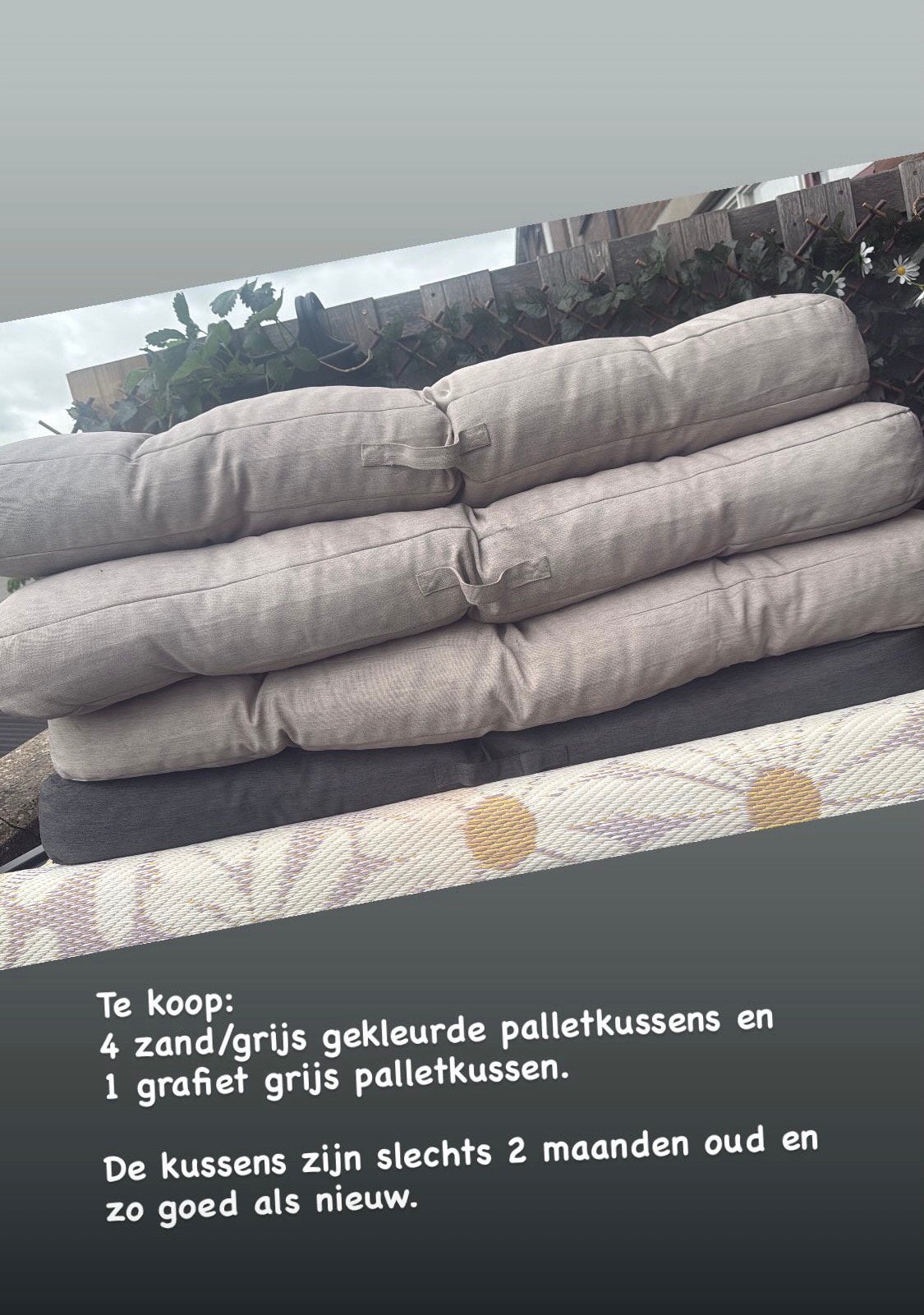 Pallet kussens, Ophalen, Zo goed als nieuw