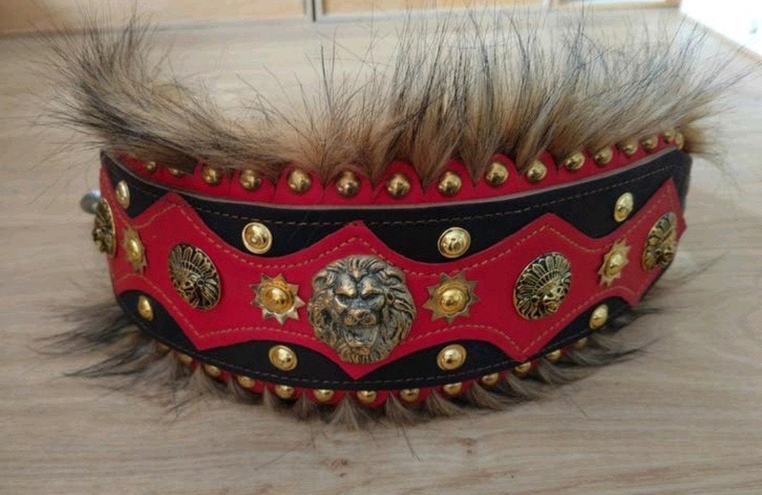 Brede halsband/ kraag leer zwart/rood/gouden leeuwen koppen, Dieren en Toebehoren, Verzenden, Gebruikt