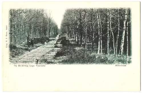 Lage Vuursche (U), Heideweg Lage Vuursche, ongelopen v. 1906, Verzenden, Voor 1920, Ongelopen, Utrecht