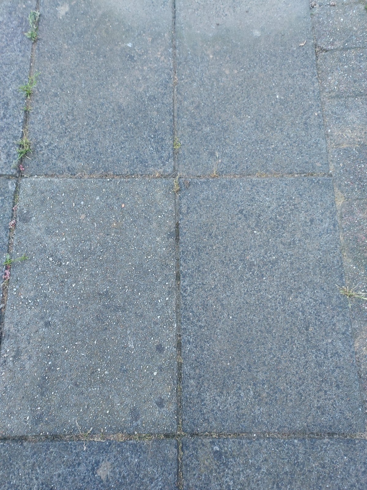 Gratis - Gebruikte betonnen terrastegels 60x40cm, Ophalen, Gebruikt, 10 m² of meer, Beton