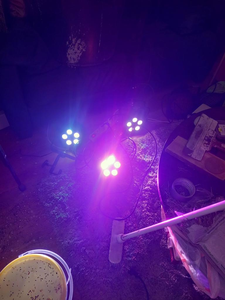 ADJ 5P HEX LED Par Licht - Professionele Podiumverlichting, Muziek en Instrumenten, Licht en Laser, Zo goed als nieuw, Licht, Kleur