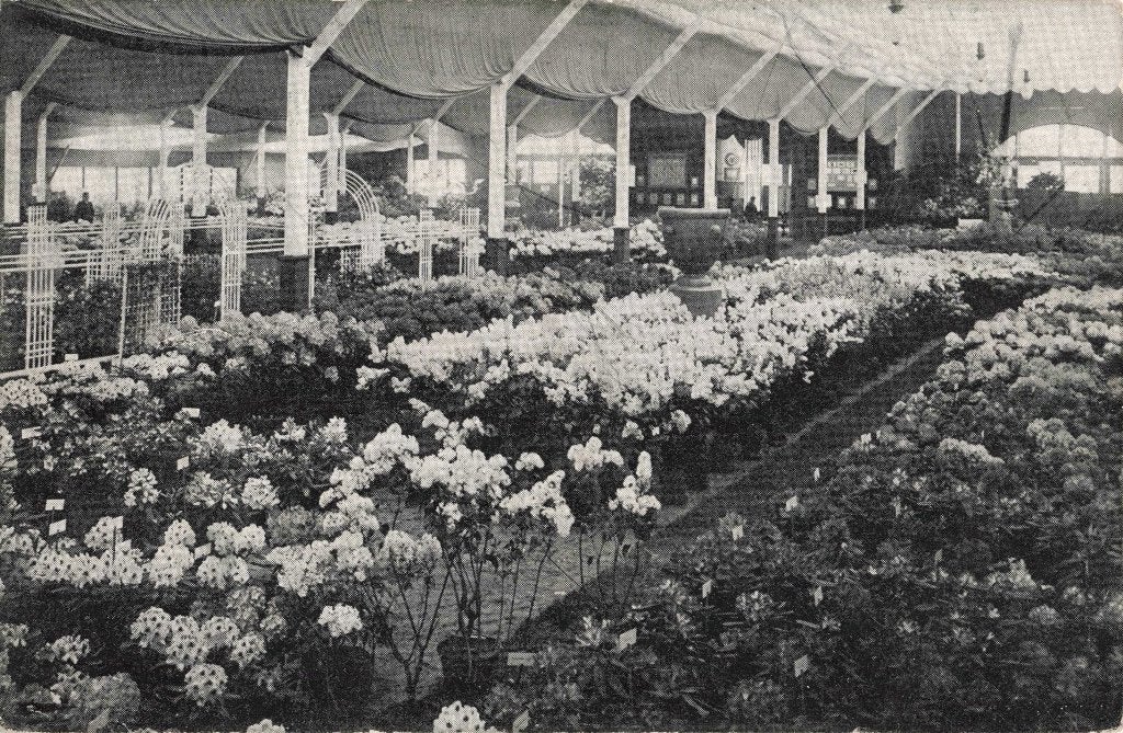 Boskoop Groote Bloemententoonstelling 1911 B3362, Ophalen, Voor 1920, Gelopen, Zuid-Holland
