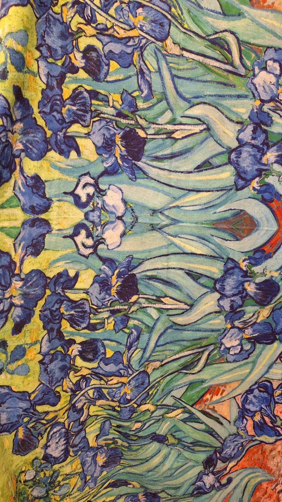 Shawl 180x70 irissen Van Gogh NIEUW, Ophalen of Verzenden, Nieuw