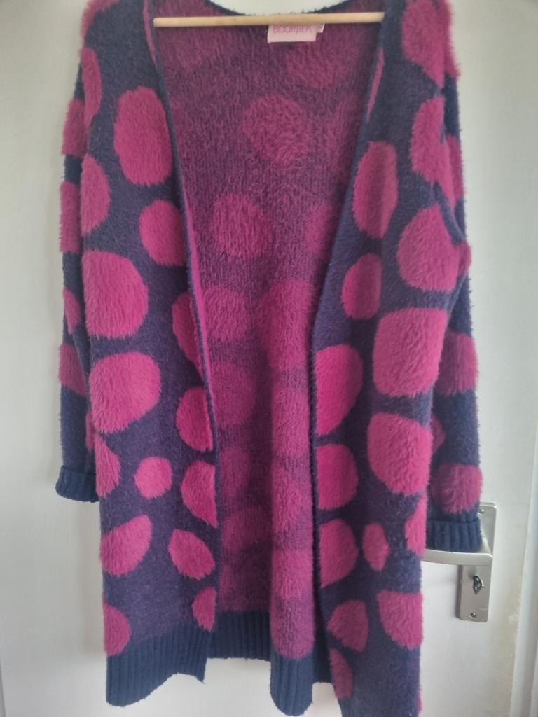 Dames vest, Ophalen of Verzenden, Zo goed als nieuw, Trui of Vest