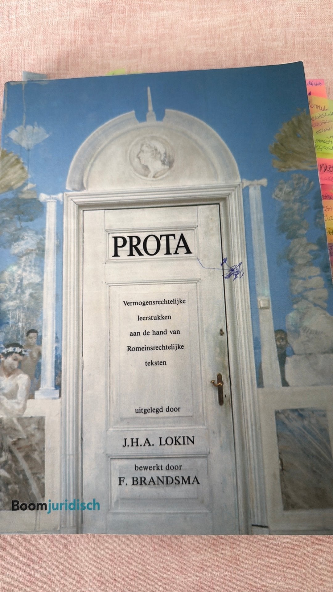 J.H.A. Lokin - Prota - VEEL IN GESCHREVEN, Ophalen of Verzenden, Zo goed als nieuw, J.H.A. Lokin; F. Brandsma