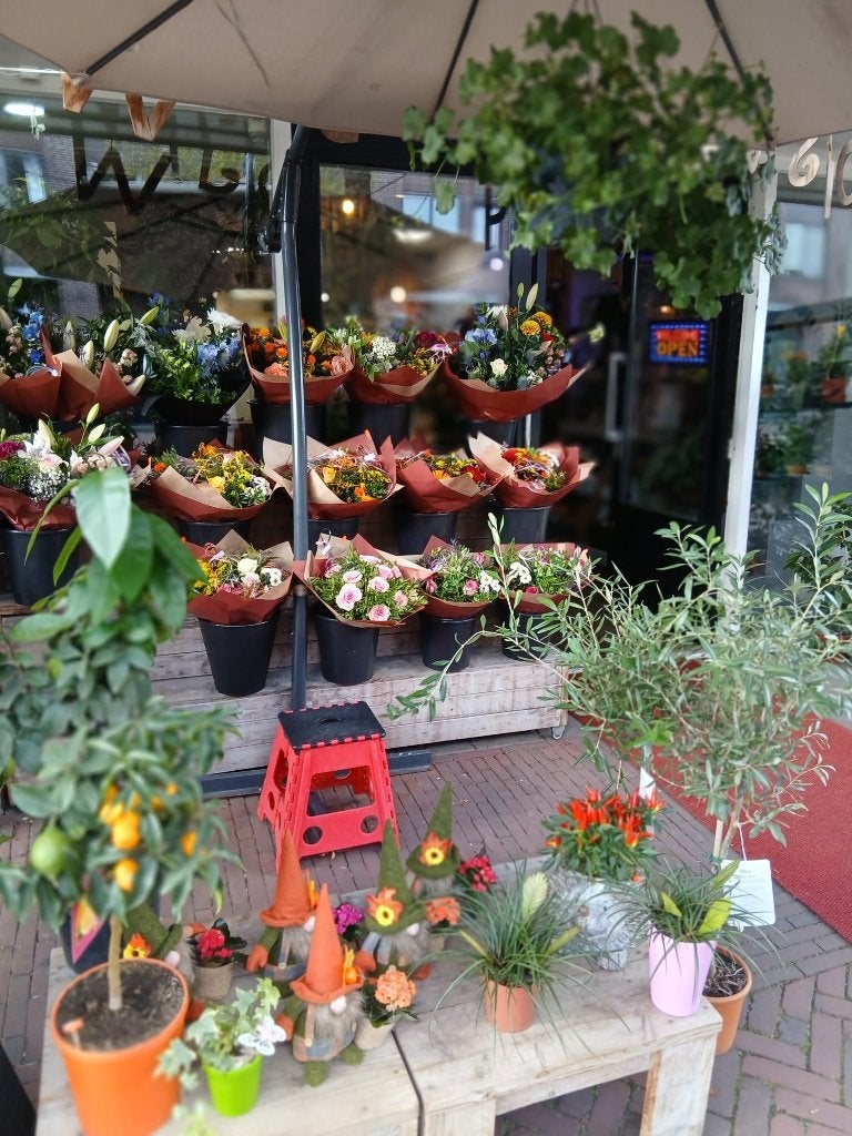 Ter overname bloemenwinkel in Delft centrum.