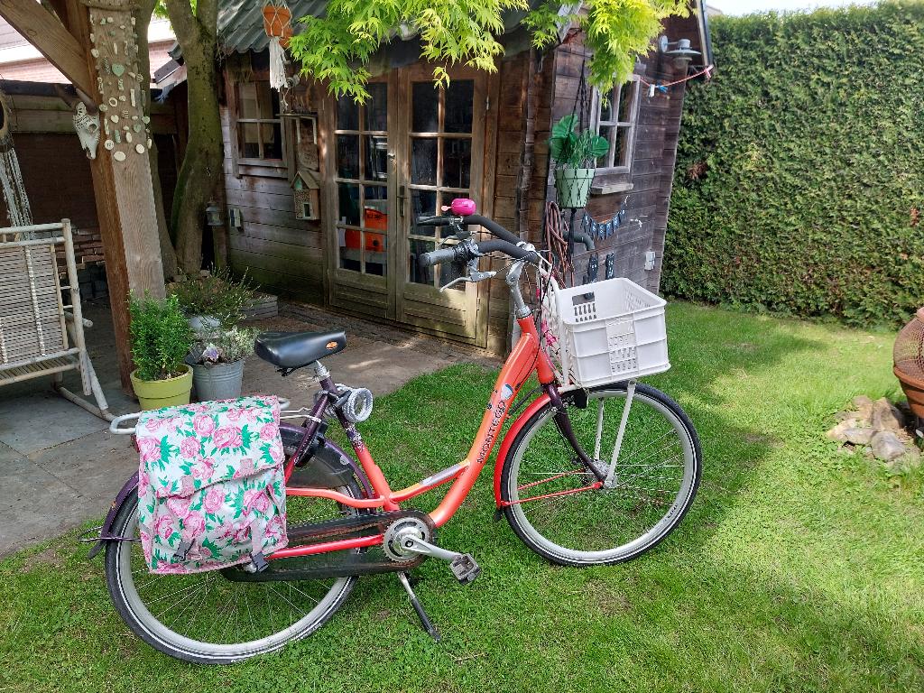 degelijke moeder fiets / mama fiets, 2 zitjes, Gebruikt, Mandje, Ophalen