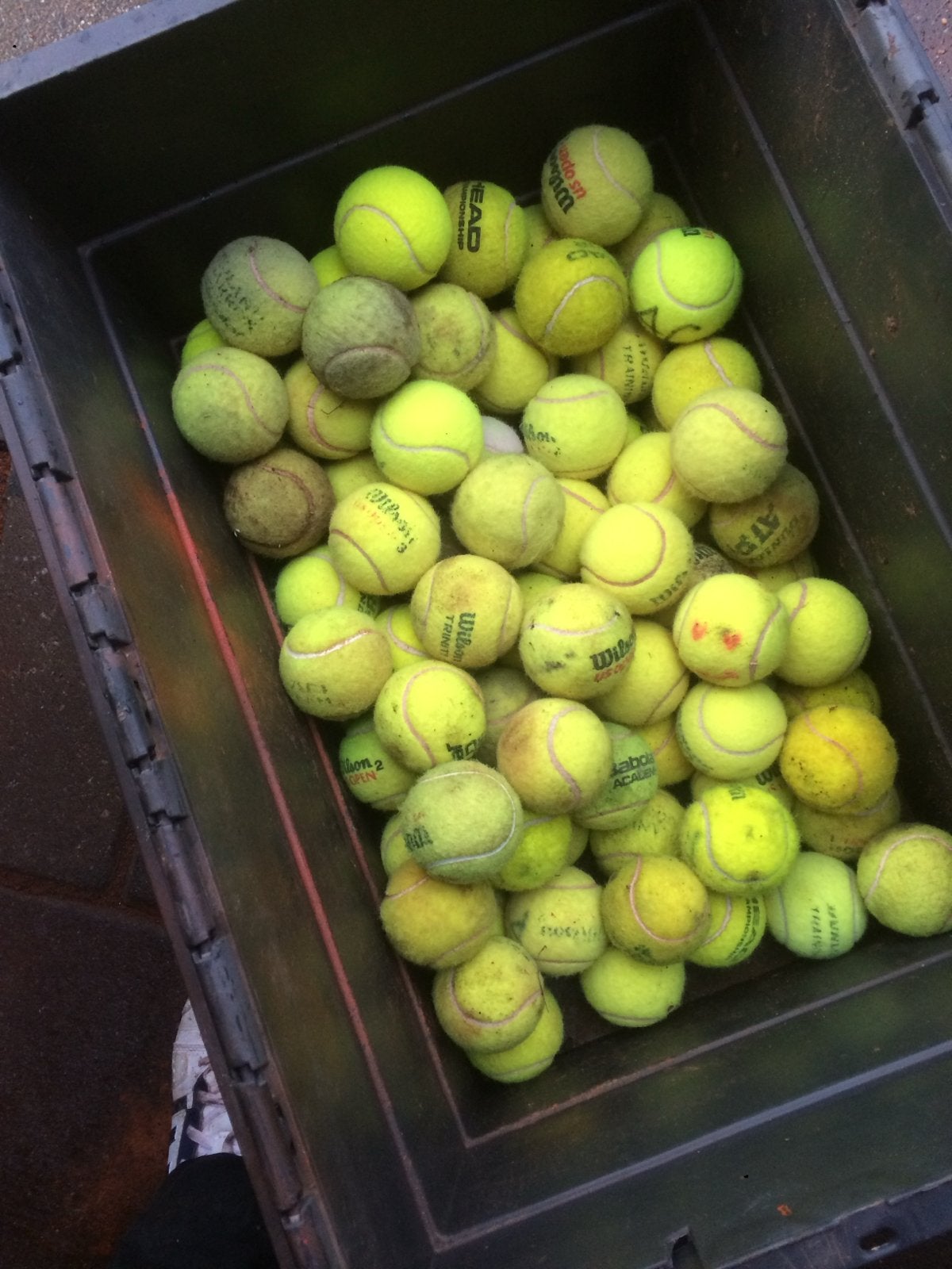 Grote partij gebruikte tennisballen (Wilson, Head, Babolat), Ophalen of Verzenden, Gebruikt, Ballen, Overige merken
