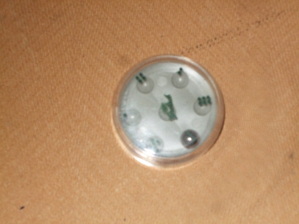 Grolsch dobbelspel (nr.1), Verzamelen, Biermerken, Ophalen of Verzenden, Nieuw, Overige typen, Grolsch