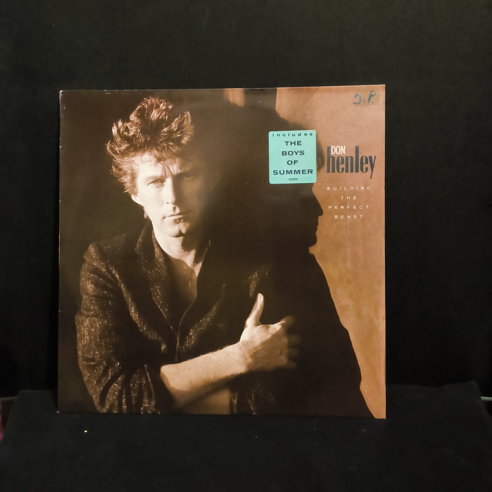 Don Henley- Building The Perfect Beast. Vaste prijs €15., LP, Overige formaten, Ophalen of Verzenden, Zo goed als nieuw