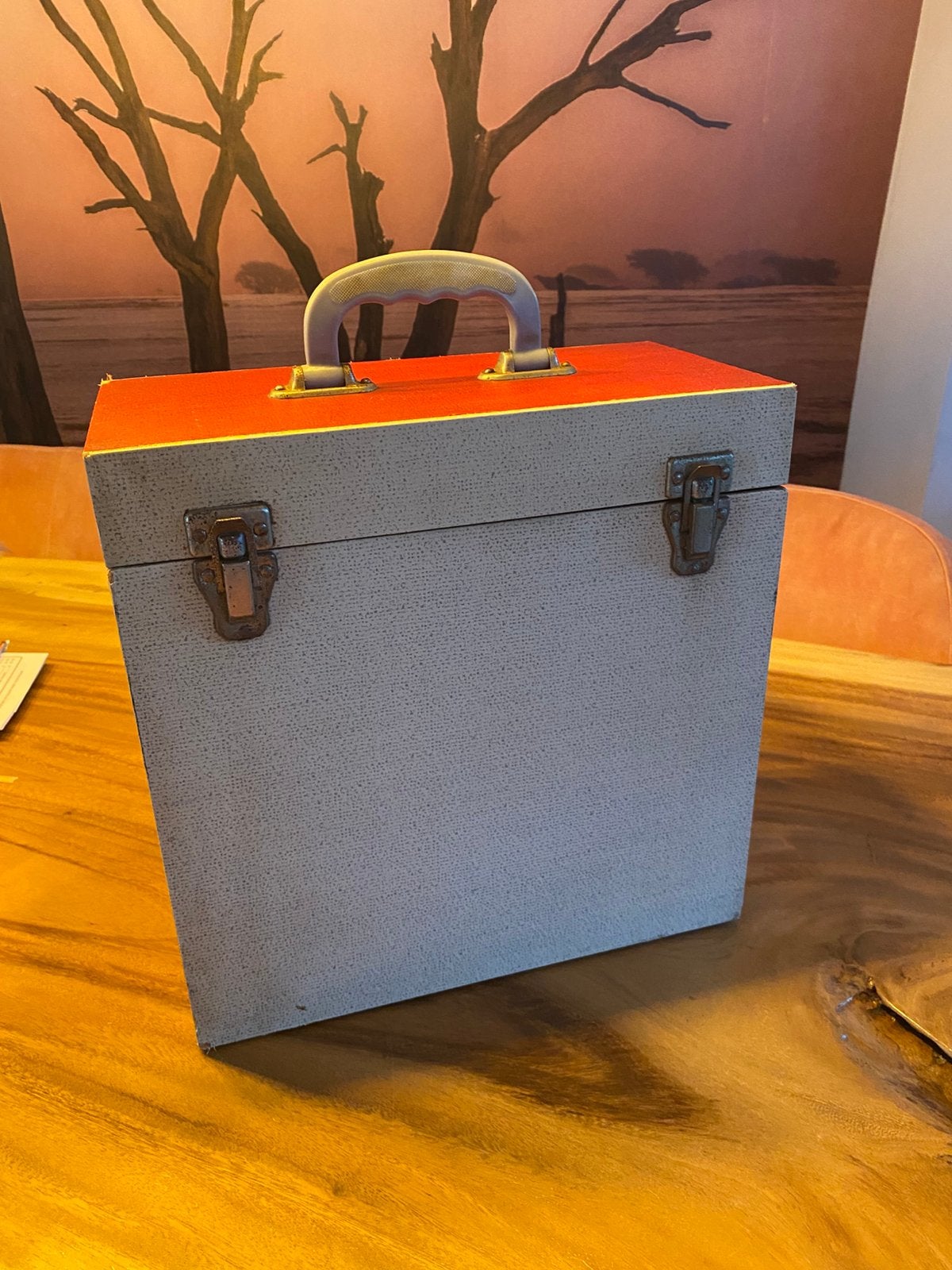 Platenkoffer, Ophalen of Verzenden, Zo goed als nieuw, Minder dan 50 cm