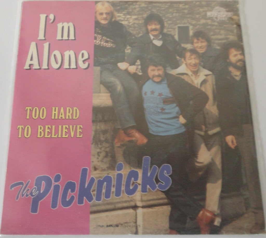 The Picknicks > I'm alone, Cd's en Dvd's, Gebruikt, 7 inch, Single, Ophalen of Verzenden