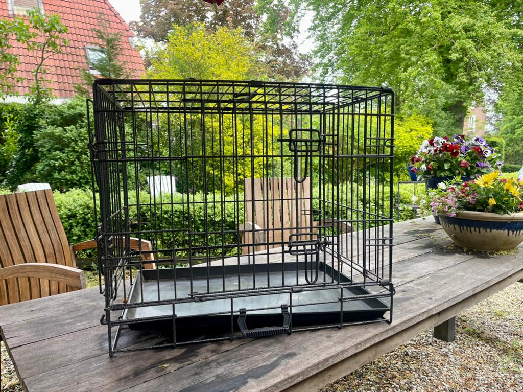 Bench 60 x 55 x 45, Dieren en Toebehoren, Hondenhokken, Ophalen, Hondenkennel, Gebruikt, Minder dan 65 cm