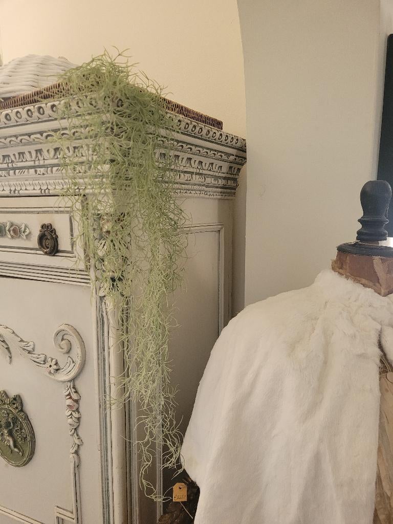 Nieuwe kunstplant Spaans mos foto 1 en 2, Groen, Kunstplant, 90 cm, Belle Vieille Brocante