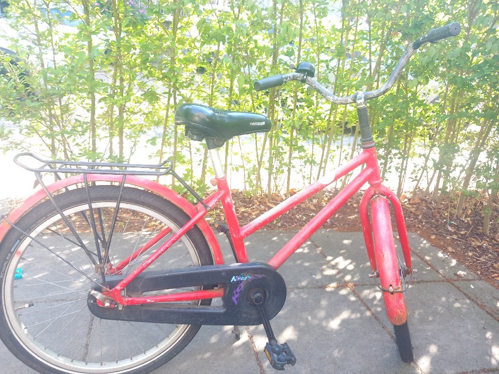 Kinderfiets 21 inch, Terugtraprem, Gebruikt, 20 inch, Ophalen