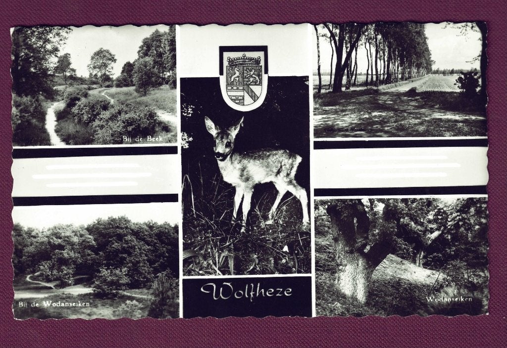 Wolfheze (Gld) - 5-luik - o.a. bij de Beek en Wodans-eiken, Ophalen of Verzenden, 1960 tot 1980, Ongelopen, Gelderland