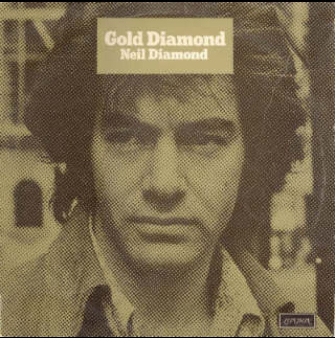 LP Album Gold Diamond Neil Diamond vinyl voor een SPOTPRIJS!, LP, Ophalen of Verzenden, Zo goed als nieuw, 12 inch