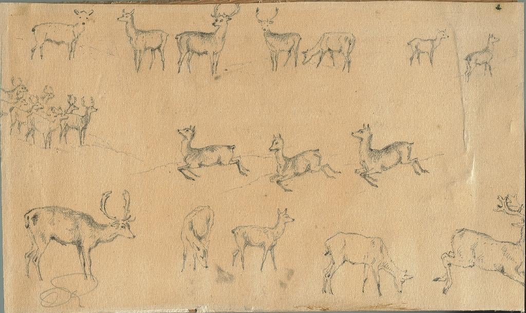 John Henry Smith krijtschets "Herten-bewegingsstudie"ca.1850, Antiek en Kunst, Ophalen