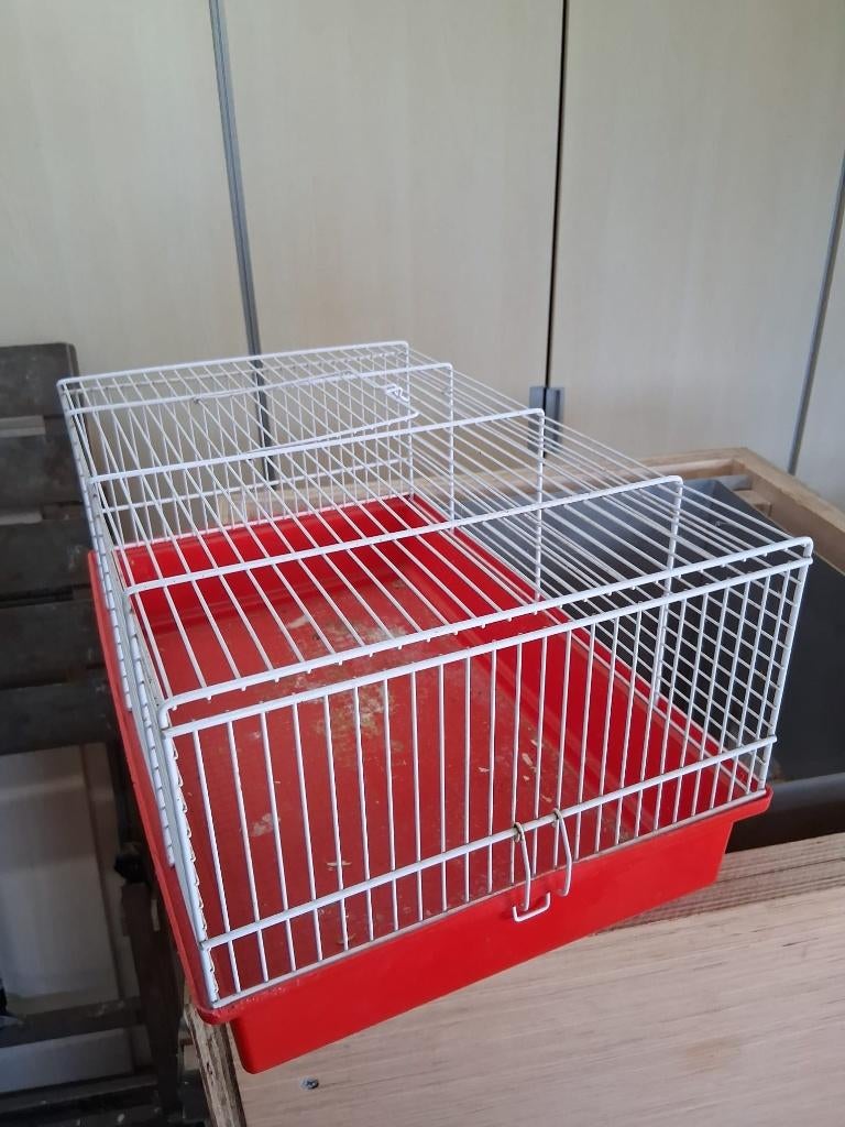 hamsterkooi, muizenkooi, Kooi, Gebruikt, Minder dan 75 cm, Muis