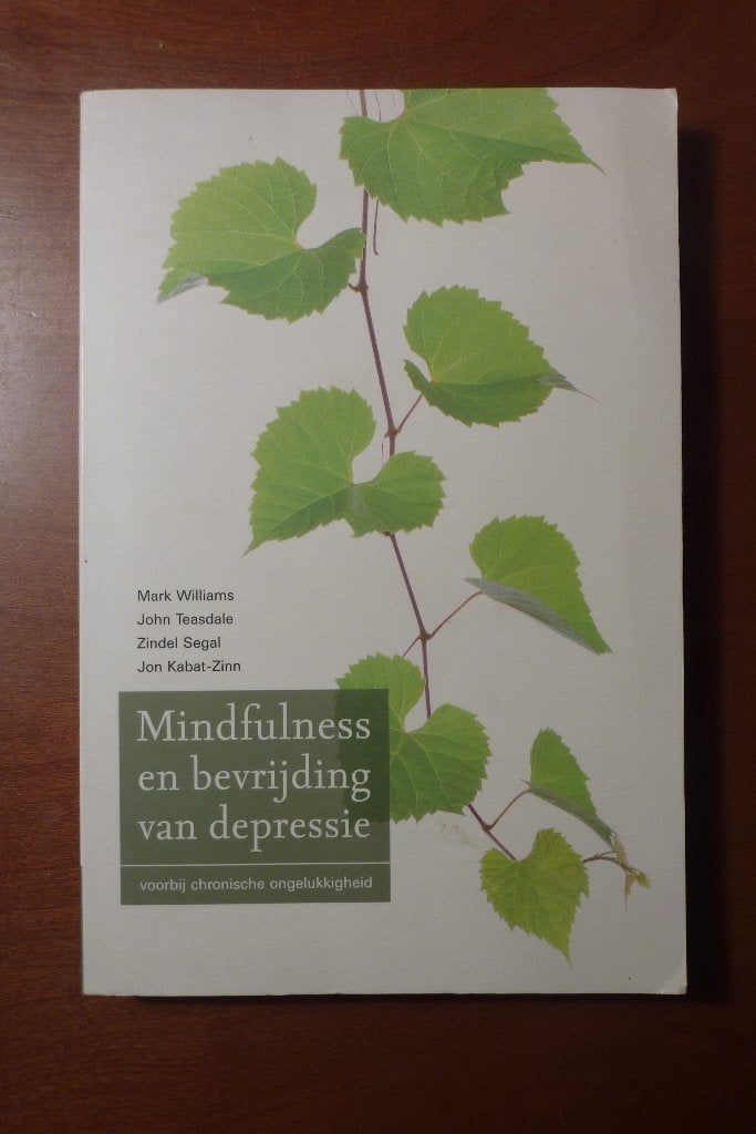 Mindfulness en bevrijding van depressie - Mark Williams, Boeken, Achtergrond en Informatie, Spiritualiteit algemeen, Ophalen of Verzenden