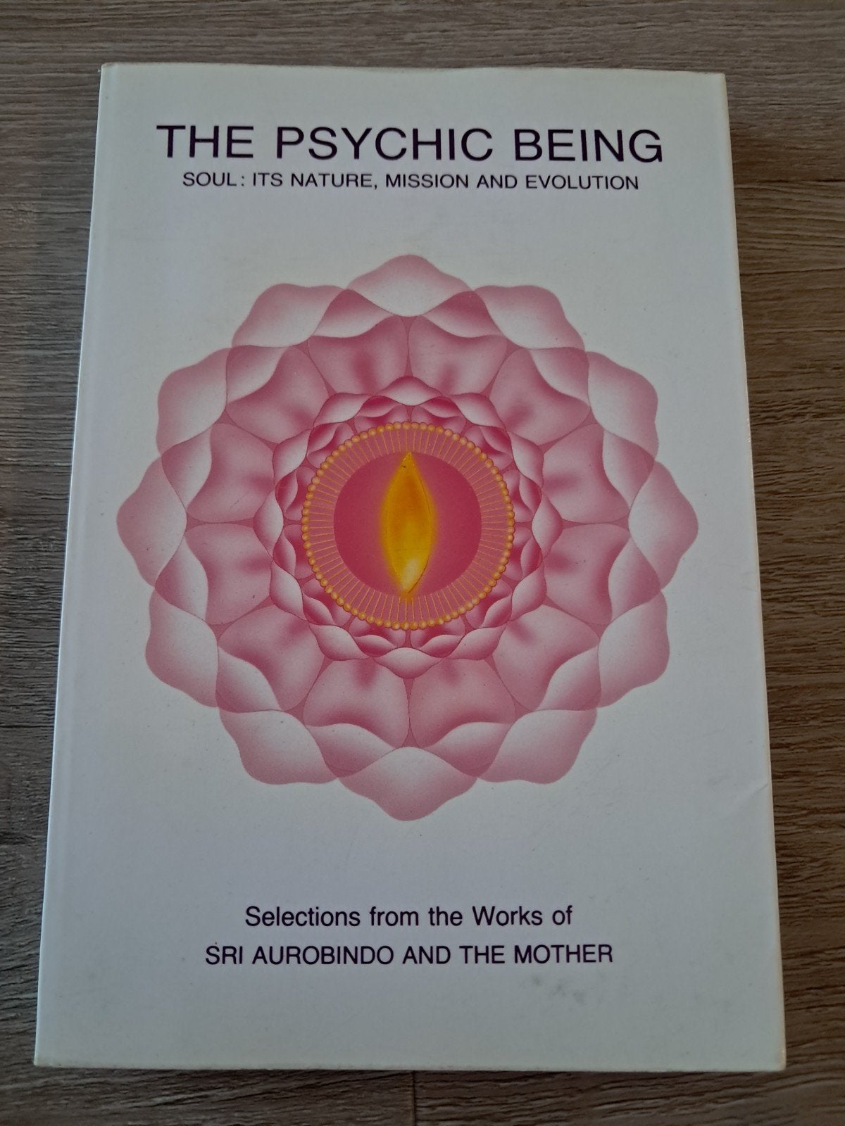 E9 The Psychic Being: Ziel, Missie en Evolutie, Ophalen of Verzenden