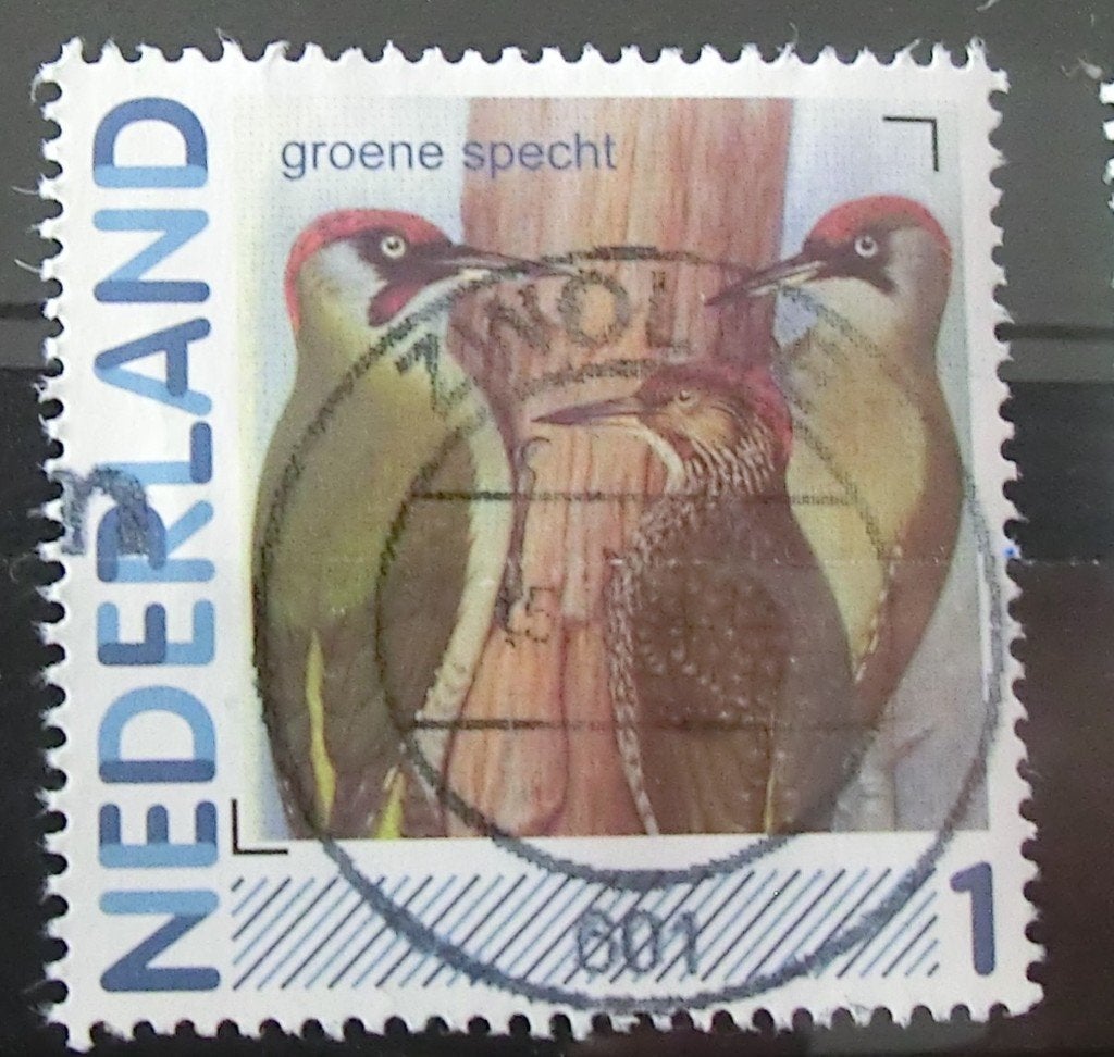 persoonlijke postzegel, Vogels, gest (lees aub), Ophalen of Verzenden, Na 1940, Gestempeld