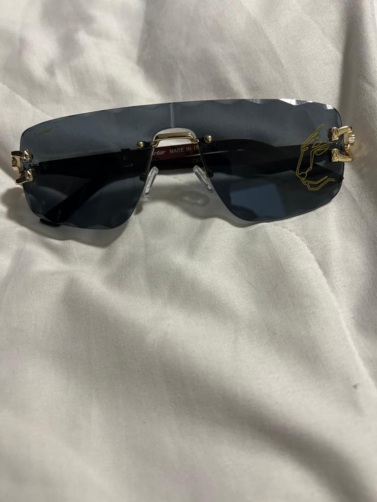 Mooi Nieuw heren zonnebril van Cartier, Sieraden, Tassen en Uiterlijk, Zonnebrillen en Brillen | Heren, Ophalen of Verzenden, Nieuw