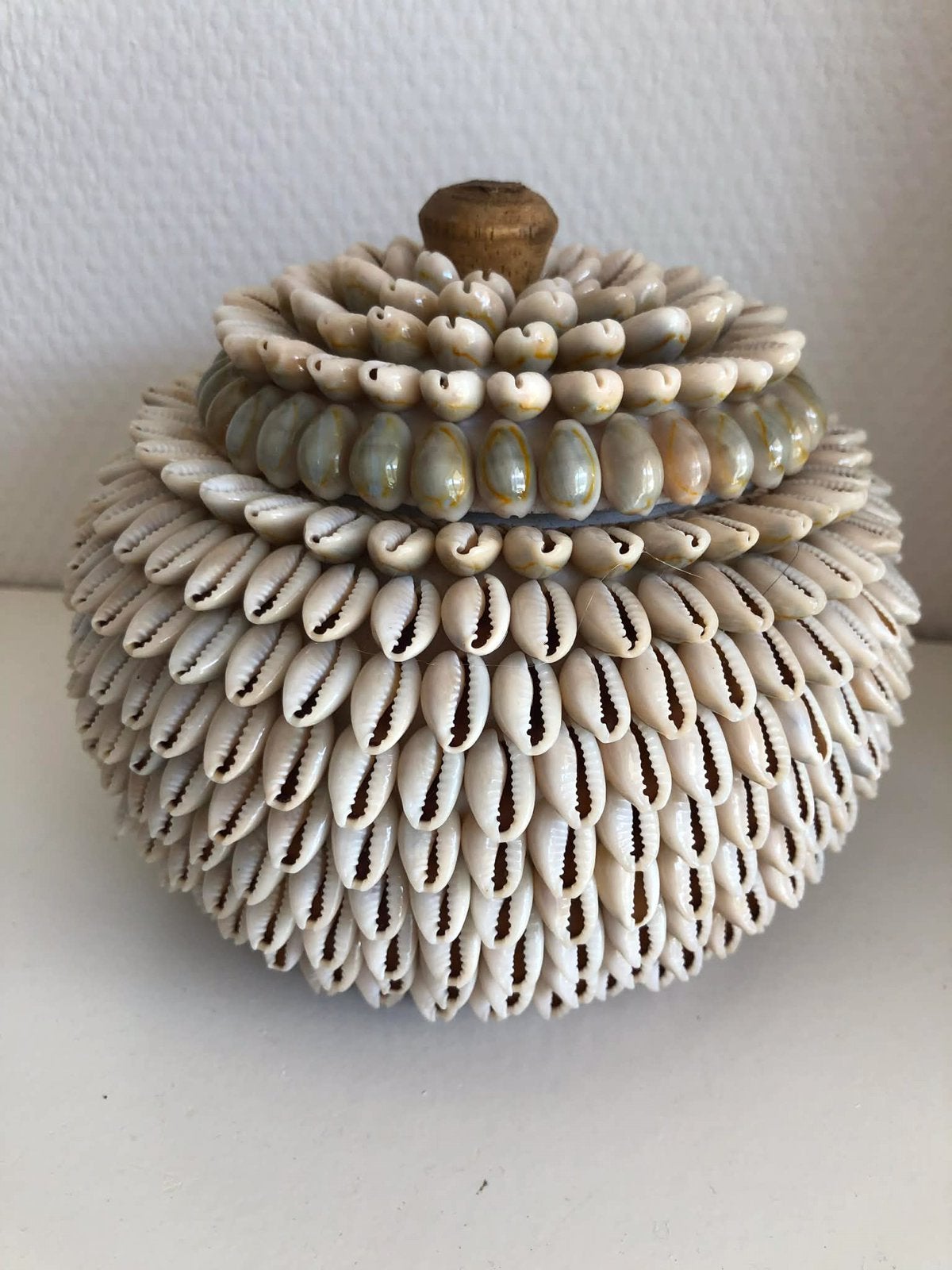 Mooi kauri schelp pot potje bakje deksel nieuw Bali, Ophalen, Meerkleurig, Boho, Nieuw