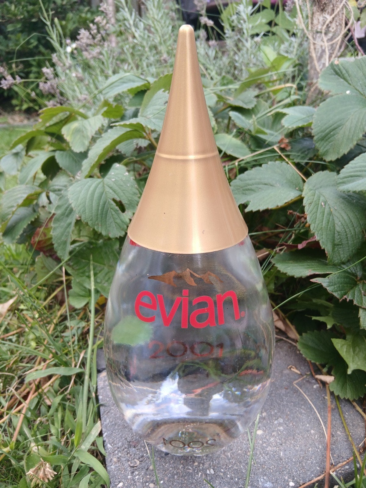 Evian Collectors Edition Waterflessen 2001 & 2002, Ophalen