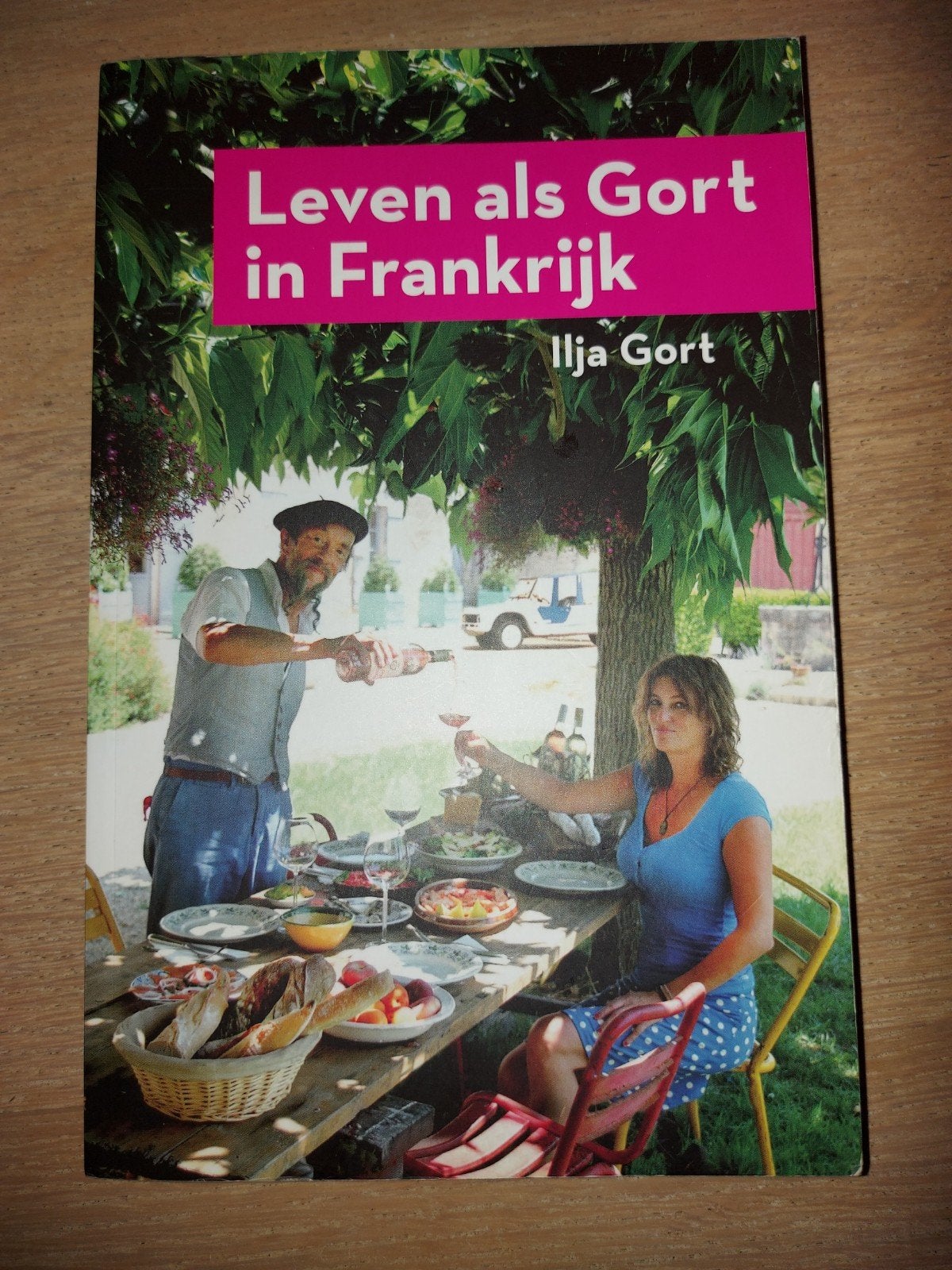 Ilja Gort - Overleven als Gort in Frankrijk, Ophalen of Verzenden, Zo goed als nieuw, Ilja Gort