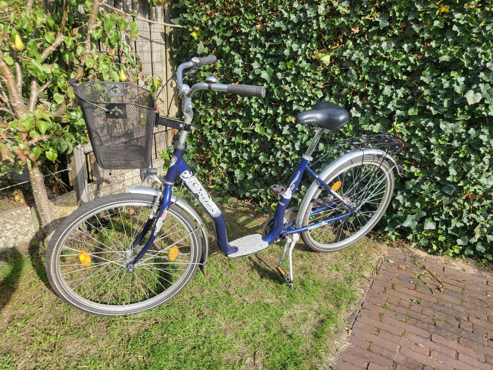 Dames model, lage instap, versnellingen, mand, verlichting,, Velgrem, (Extra) lage instap, Zo goed als nieuw, Minder dan 47 cm