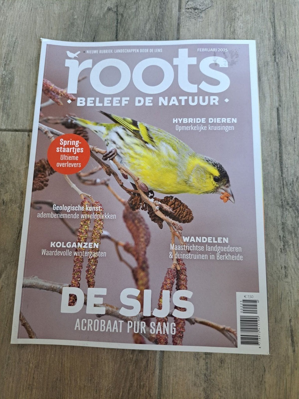 1x Roots, Ophalen of Verzenden, Gelezen, Damesbladen
