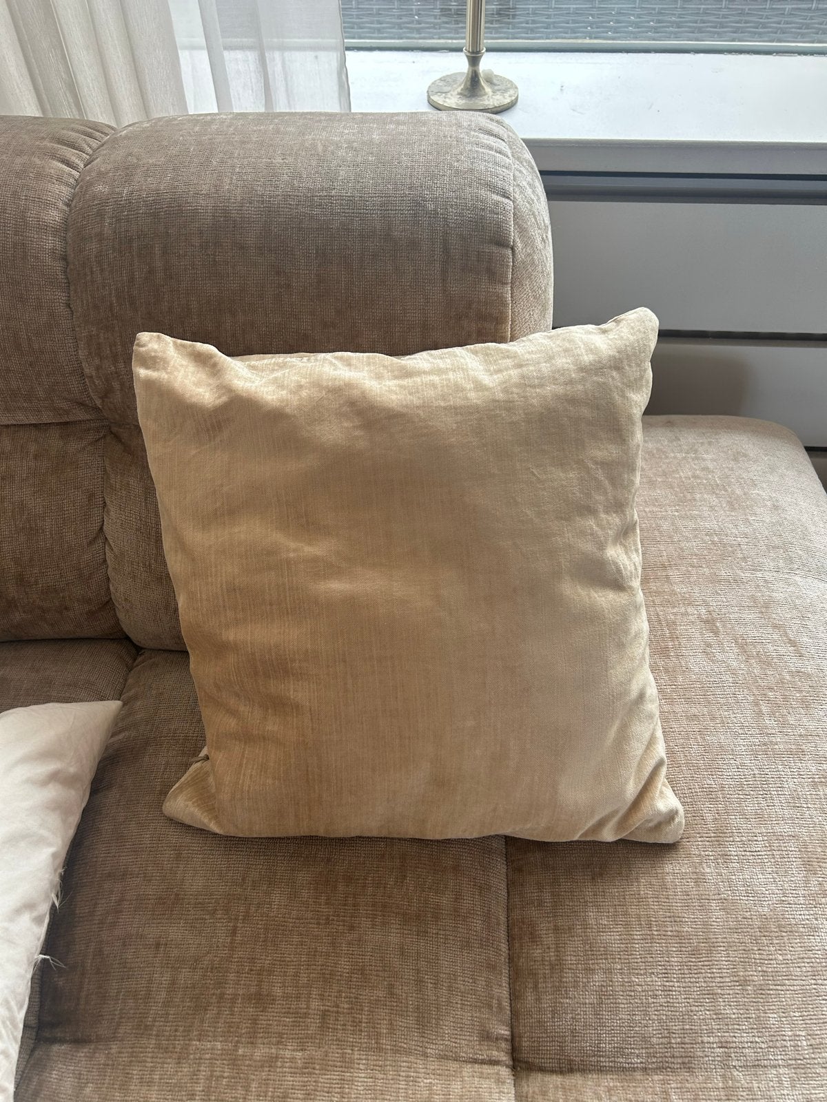 Beige H&M Home Velvet Kussensloop met ritssluiting, Overige merken, Beige, Zo goed als nieuw, Vierkant
