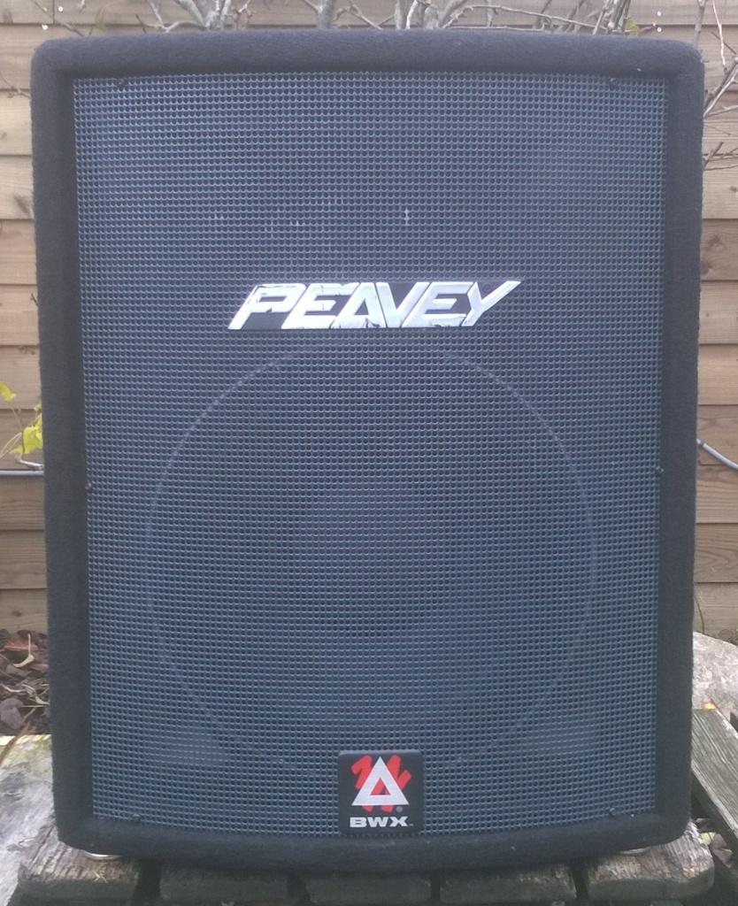 Luidsprekers Peavey Hysis 1RX 500 Watt, 2 stuks, Overige merken, Peavey, Ophalen of Verzenden, Zo goed als nieuw