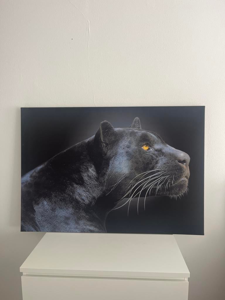 Schilderij Zwarte Panter Canvas 117x80 cm, Ophalen