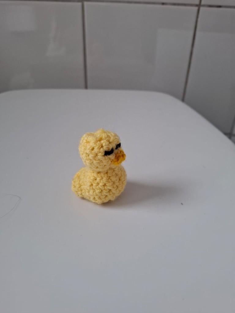 bad eend gehaakt, Hobby en Vrije tijd, Breien en Haken, Ophalen of Verzenden, Nieuw, Haken, Wol of Garen