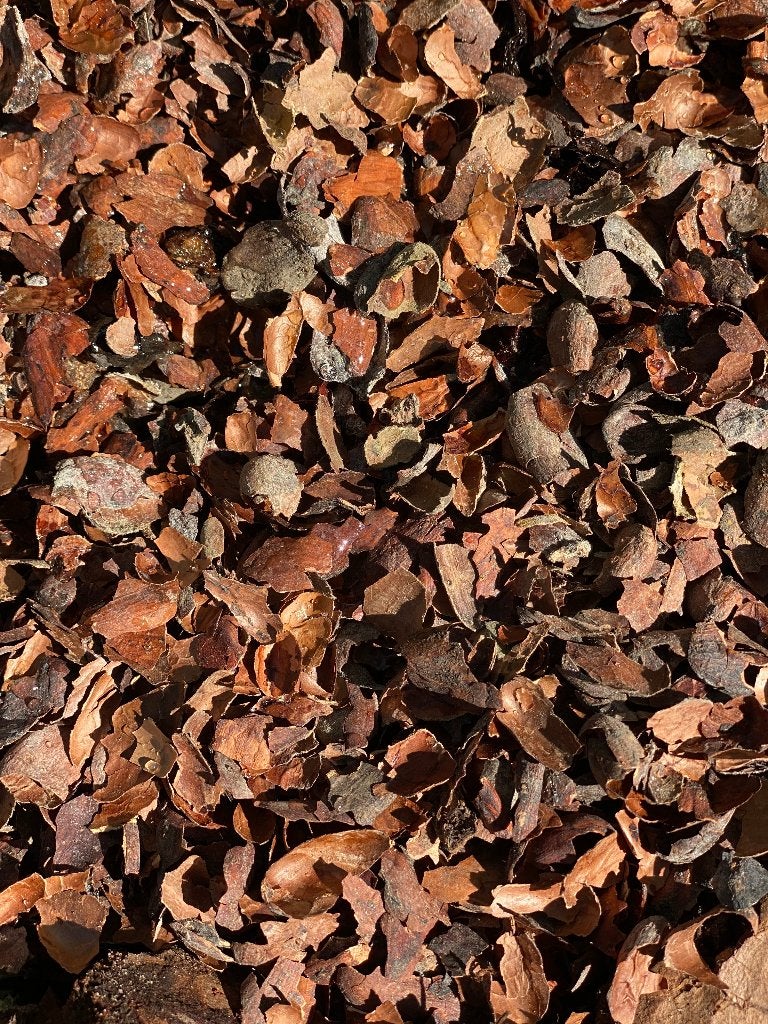 Cacaodoppen - sfeervolle en nauurlijke bodembedekker, Ophalen of Verzenden, Cacaodoppen