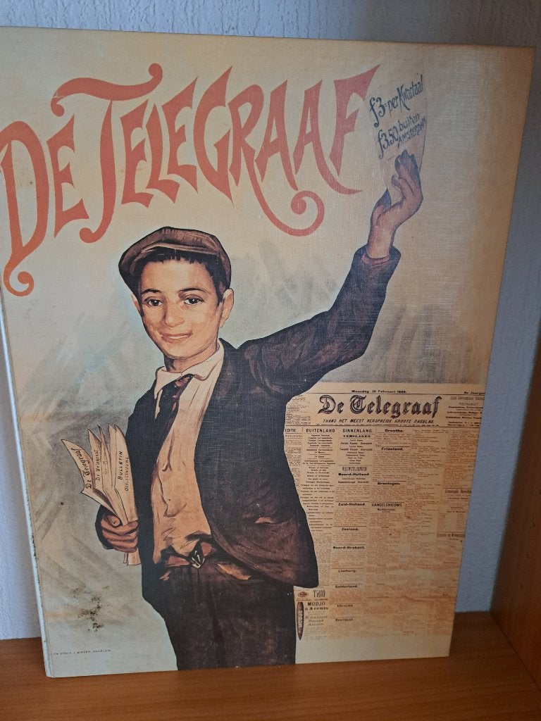 100 jaar de Telegraaf, Ophalen of Verzenden, Gelezen, Overige typen