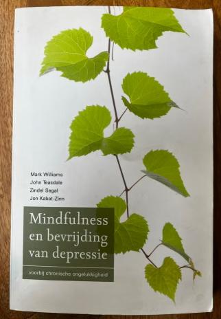 Mindfulness en bevrijding van depressie Mark Williams, Boeken, Ophalen of Verzenden, Gelezen