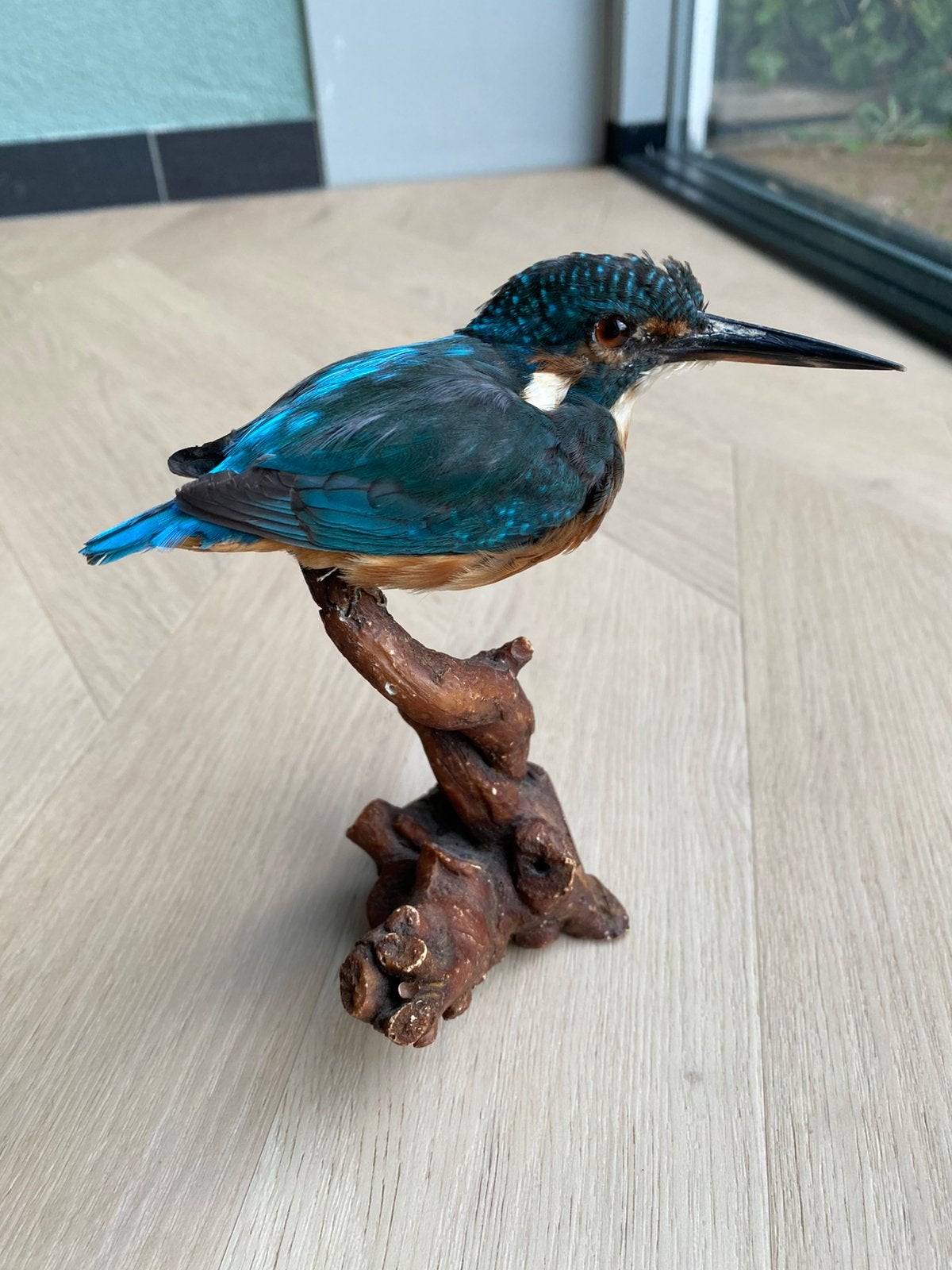 IJsvogel, Ophalen, Zo goed als nieuw, Beeldje of Figuurtje