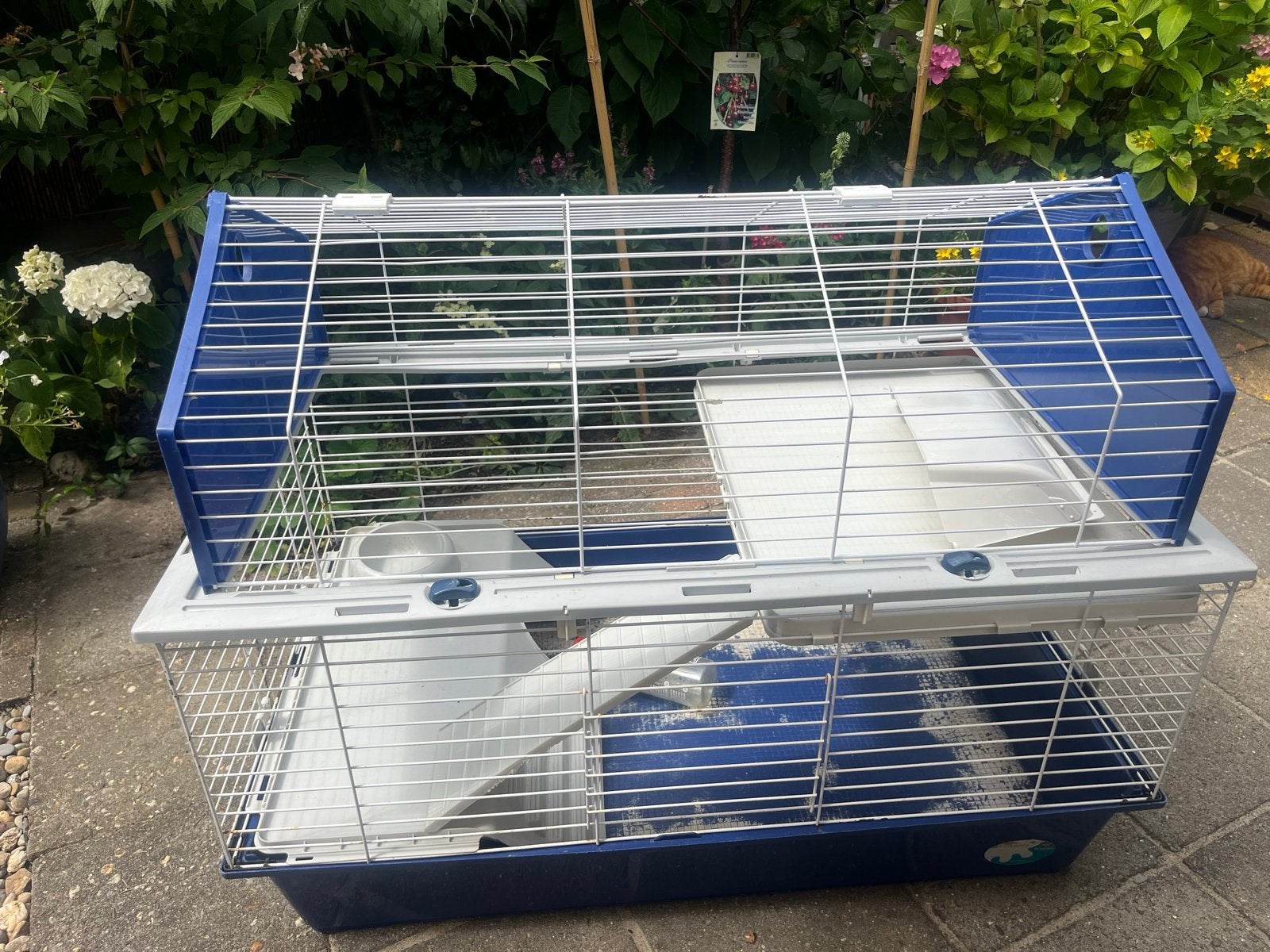 Cavia kooi, Ophalen of Verzenden