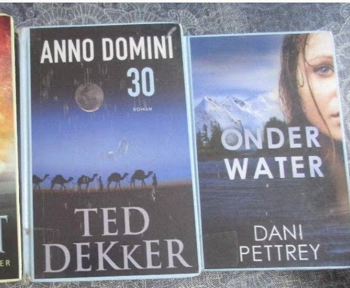 Ted Dekker anno domini / Dani Pettrey - onder water à 2,00, Ophalen of Verzenden, Gelezen