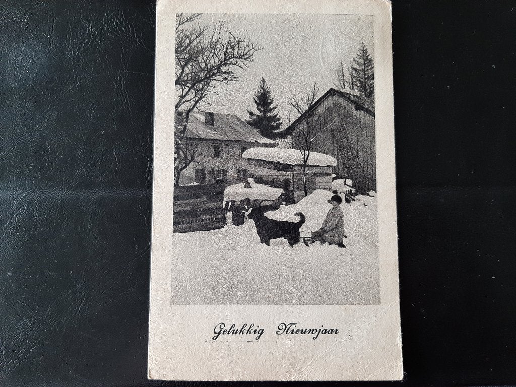 Kind op slee met hond, stempel Leerdam. Koperdiepdruk,, Verzamelen, Verzenden, 1940 tot 1960, Gelopen, Kinderen