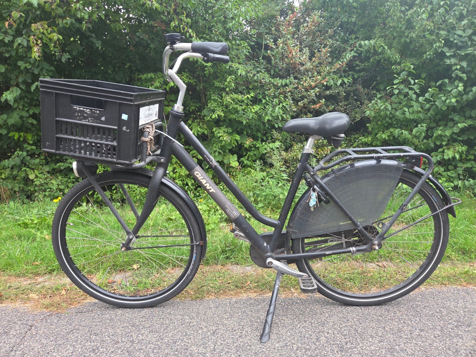 Giant Triple X Damesfiets - Goede staat, nieuwe ketting, Fietsen en Brommers, Ophalen, Gebruikt, Giant