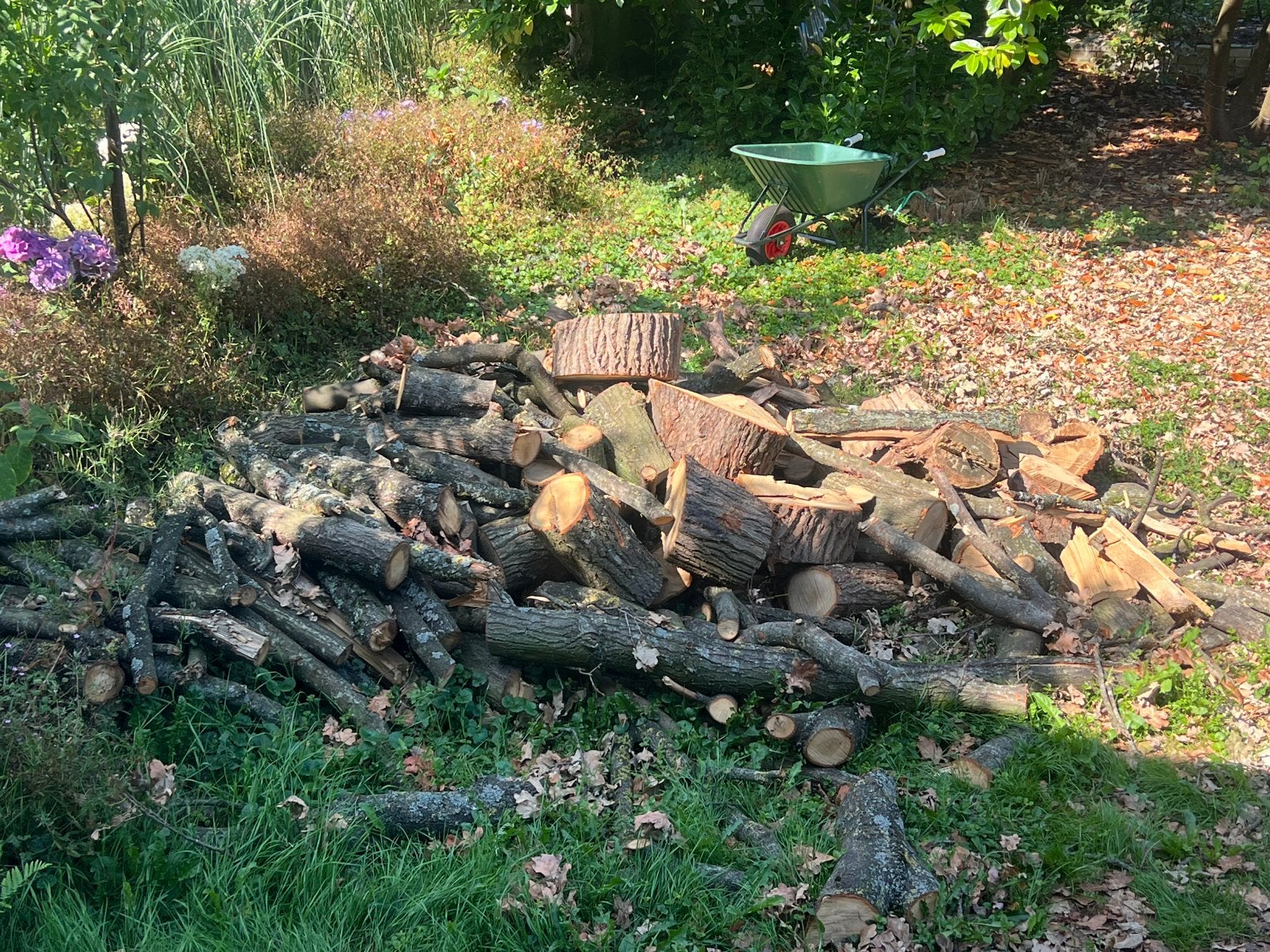 Brandhout vandaag gratis ophalen, Tuin en Terras, Minder dan 3 m³, Ophalen, Eikenhout