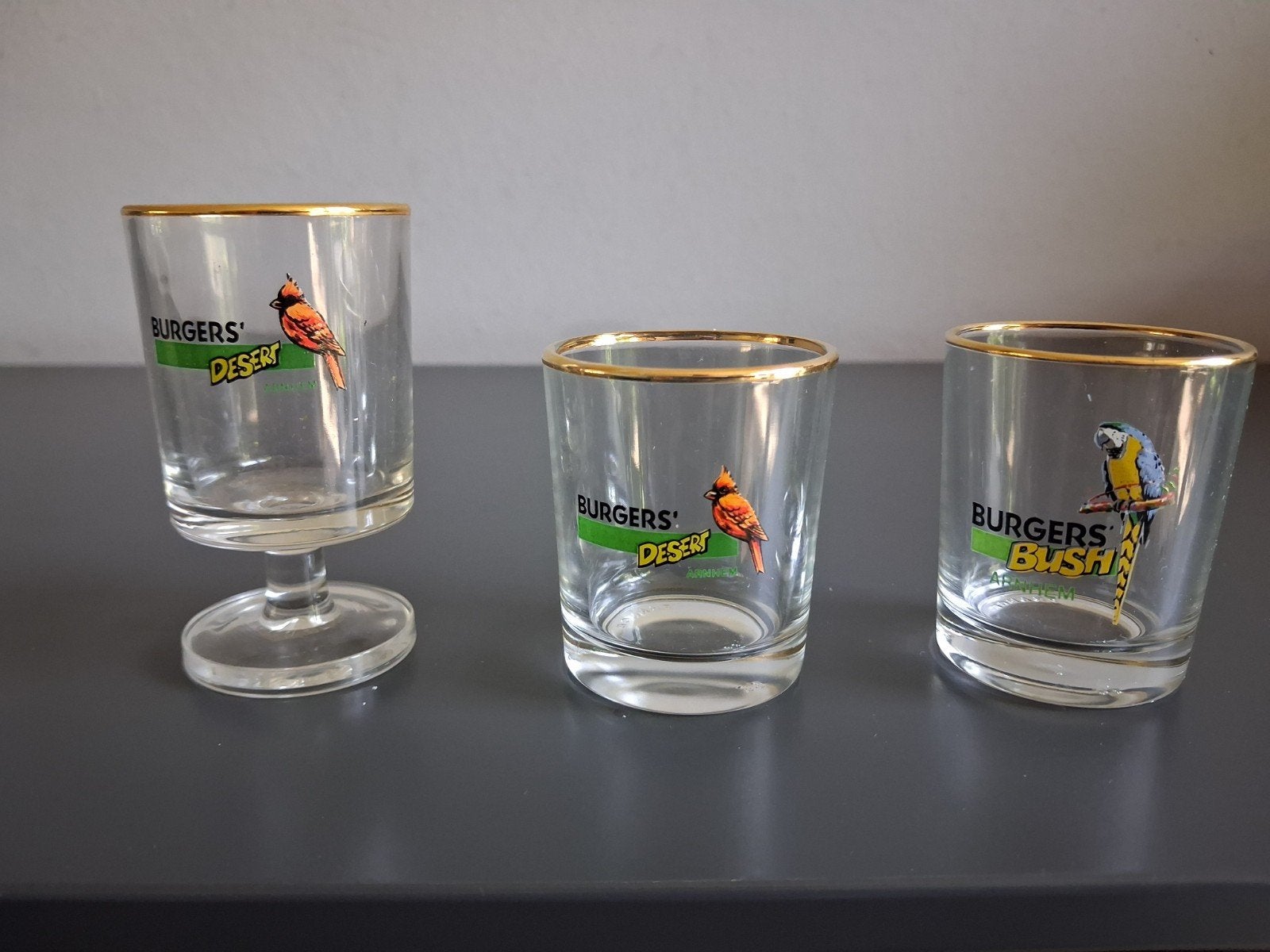 3x Burgers' Zoo Arnhem glazen - Desert & Bush shotglas, Ophalen of Verzenden